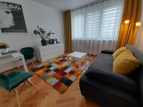 Kinga, Torun